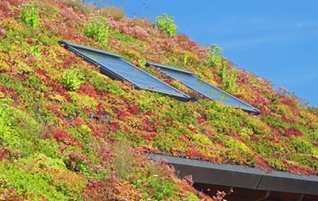 Cuttyhill living roof systems