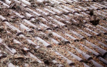 Cuttyhill roof cleaning companies