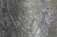 Cuttyhill fibreglass roof work